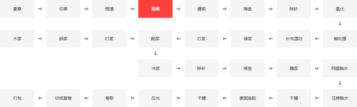造紙行業(yè)鍋爐應用領域